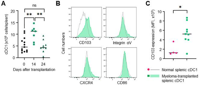 https://cdn.ncbi.nlm.nih.gov/pmc/blobs/a9d1/11518711/c5b5ca7d5999/fimmu-15-1444821-g005.jpg