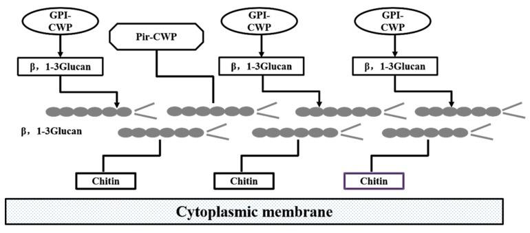 https://cdn.ncbi.nlm.nih.gov/pmc/blobs/a9d1/6983044/41bd9ae7afa4/molecules-25-00057-g001.jpg