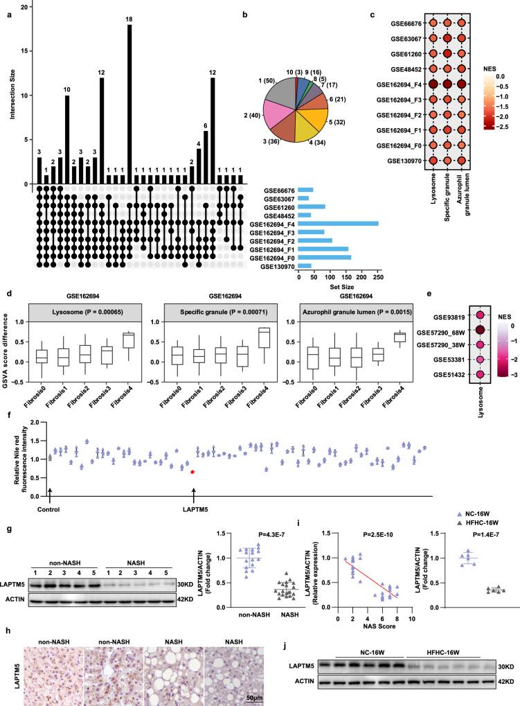 https://cdn.ncbi.nlm.nih.gov/pmc/blobs/a9d2/10167344/d084f0d28d5a/41467_2023_37908_Fig1_HTML.jpg