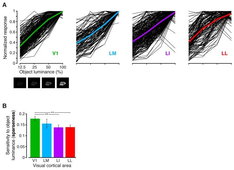 https://cdn.ncbi.nlm.nih.gov/pmc/blobs/a9d2/5388540/13a267206c95/elife-22794-fig3-figsupp3.jpg