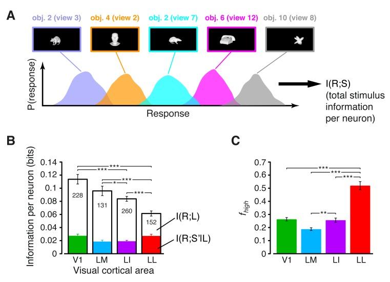 https://cdn.ncbi.nlm.nih.gov/pmc/blobs/a9d2/5388540/788c0e1c8c1e/elife-22794-fig3.jpg