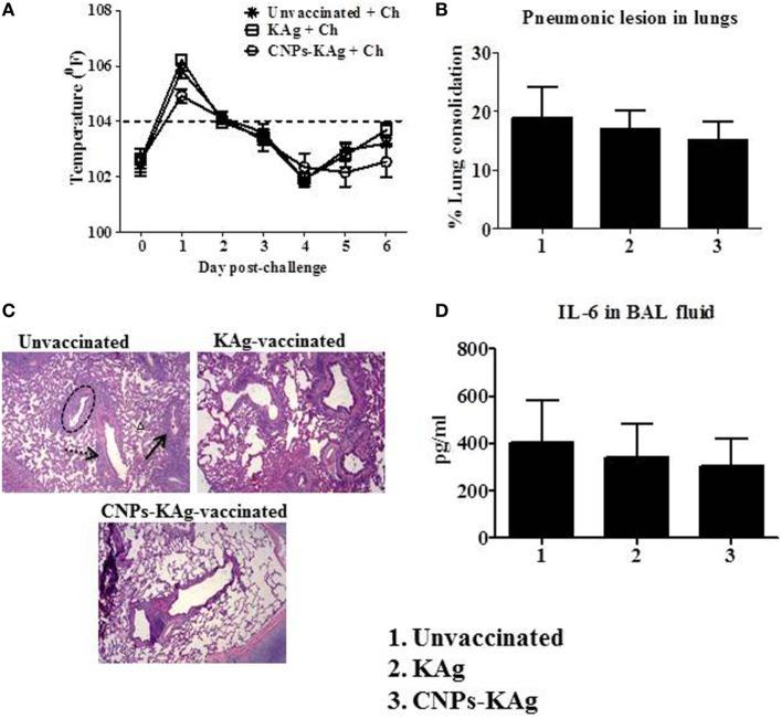 https://cdn.ncbi.nlm.nih.gov/pmc/blobs/a9d5/5940749/20d52ce7b3bb/fimmu-09-00934-g008.jpg