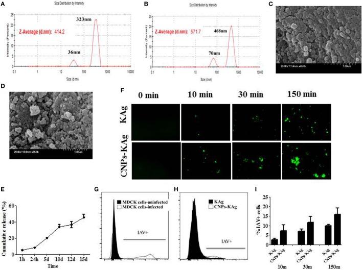 https://cdn.ncbi.nlm.nih.gov/pmc/blobs/a9d5/5940749/d6848efc70f3/fimmu-09-00934-g001.jpg