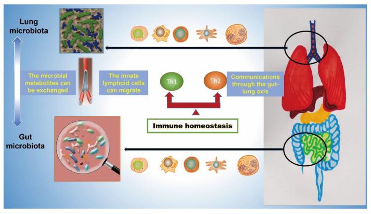 https://cdn.ncbi.nlm.nih.gov/pmc/blobs/a9d5/8909000/6ed7429347ed/cells-11-00916-g002.jpg