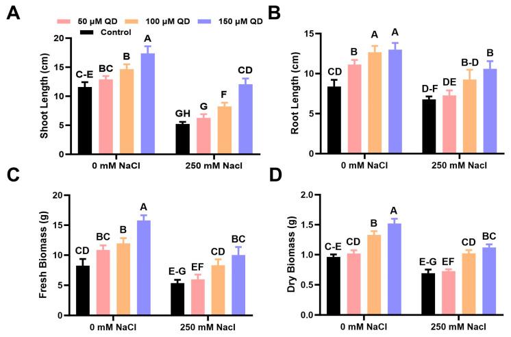 https://cdn.ncbi.nlm.nih.gov/pmc/blobs/a9d6/11207431/6eaed28988d0/plants-13-01698-g002.jpg