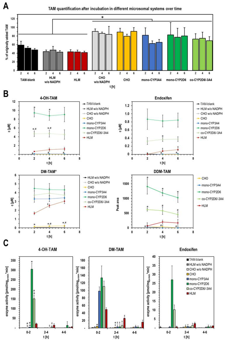 https://cdn.ncbi.nlm.nih.gov/pmc/blobs/a9d9/12071759/9fe6c8d68dab/ijms-26-03992-g006.jpg