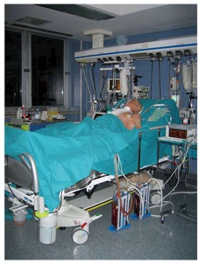https://cdn.ncbi.nlm.nih.gov/pmc/blobs/a9d9/5295165/42d69f344df5/WJCCM-6-13-g001.jpg