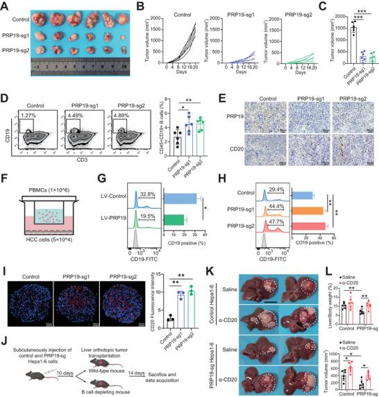 https://cdn.ncbi.nlm.nih.gov/pmc/blobs/a9da/11633487/51f6c4b538d6/ADVS-11-2407517-g002.jpg