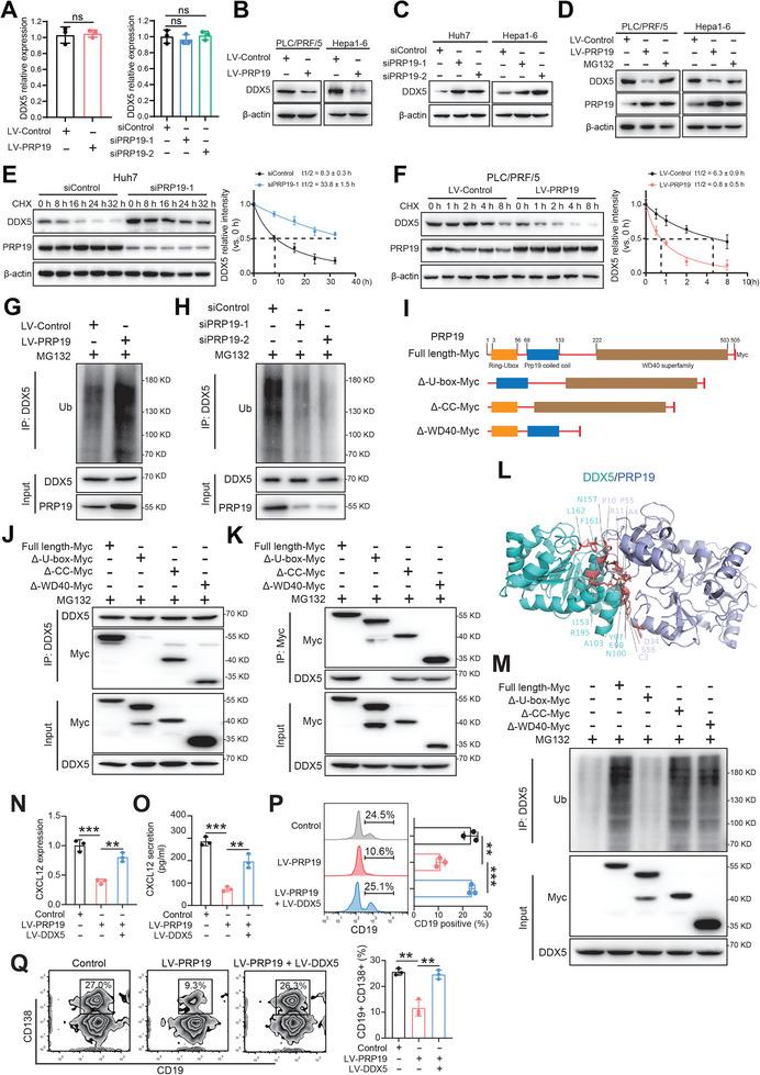https://cdn.ncbi.nlm.nih.gov/pmc/blobs/a9da/11633487/e631e65fd052/ADVS-11-2407517-g004.jpg