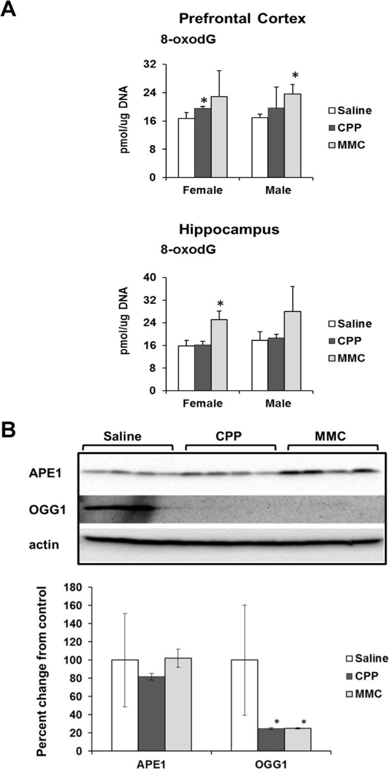 https://cdn.ncbi.nlm.nih.gov/pmc/blobs/a9da/4925823/62240d435229/aging-08-697-g003.jpg