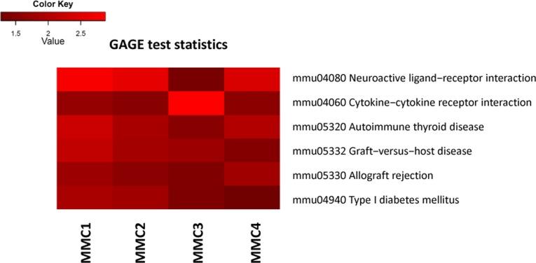 https://cdn.ncbi.nlm.nih.gov/pmc/blobs/a9da/4925823/62a86d0b6bd4/aging-08-697-g002.jpg