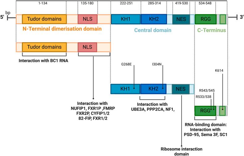 https://cdn.ncbi.nlm.nih.gov/pmc/blobs/a9dd/12017997/071e307fc88d/gr1.jpg