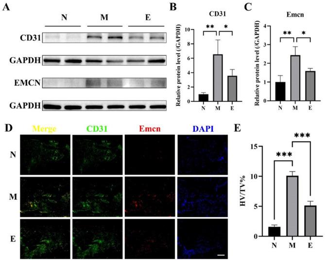 https://cdn.ncbi.nlm.nih.gov/pmc/blobs/a9de/12228181/a332849463e5/12891_2025_8903_Fig4_HTML.jpg