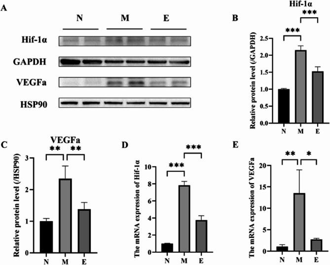 https://cdn.ncbi.nlm.nih.gov/pmc/blobs/a9de/12228181/bc9d9357e04a/12891_2025_8903_Fig5_HTML.jpg