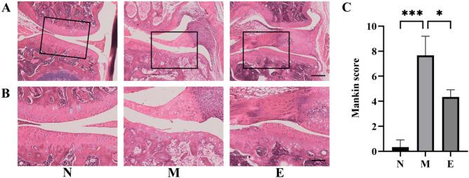 https://cdn.ncbi.nlm.nih.gov/pmc/blobs/a9de/12228181/d84aa499a9ec/12891_2025_8903_Fig3_HTML.jpg