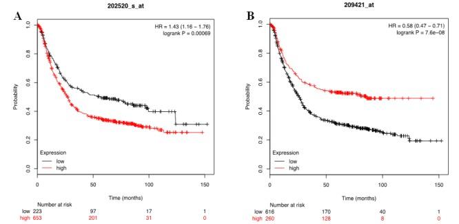 https://cdn.ncbi.nlm.nih.gov/pmc/blobs/a9df/6897031/b8f6a22fc4f1/APJCP-20-509-g001.jpg