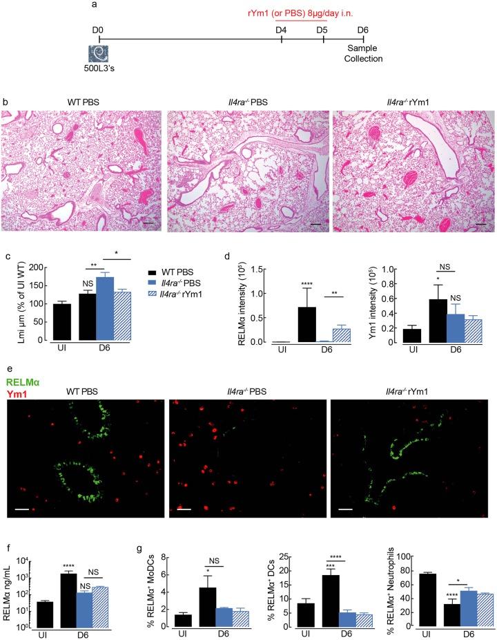 https://cdn.ncbi.nlm.nih.gov/pmc/blobs/a9e1/6291165/1e727391f1c8/ppat.1007423.g006.jpg