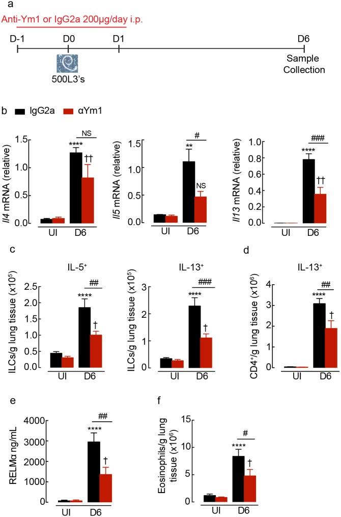 https://cdn.ncbi.nlm.nih.gov/pmc/blobs/a9e1/6291165/33ffd97a4d51/ppat.1007423.g002.jpg