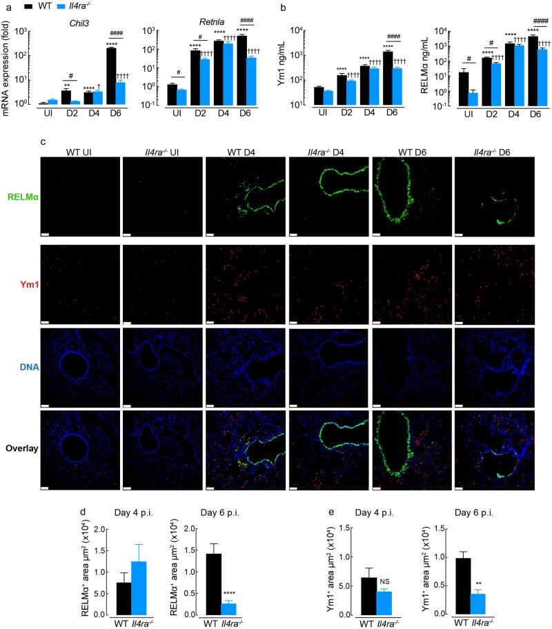 https://cdn.ncbi.nlm.nih.gov/pmc/blobs/a9e1/6291165/372b85d717fe/ppat.1007423.g001.jpg