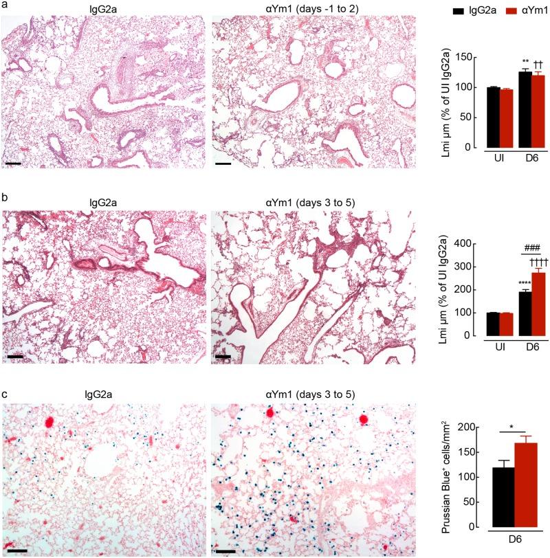 https://cdn.ncbi.nlm.nih.gov/pmc/blobs/a9e1/6291165/3d68120595c6/ppat.1007423.g004.jpg