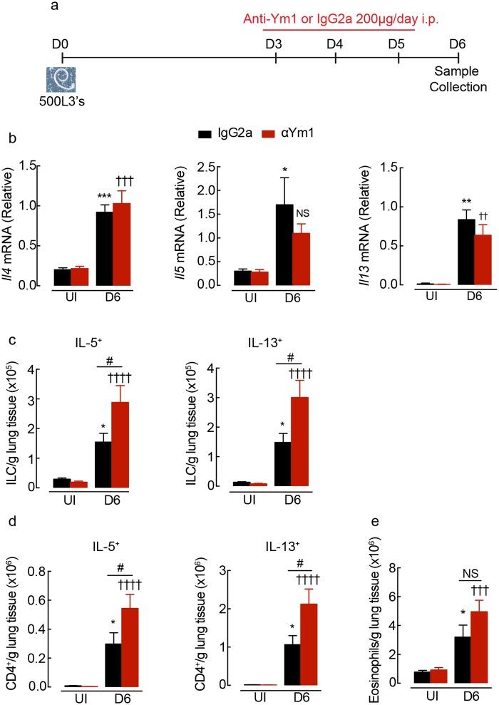 https://cdn.ncbi.nlm.nih.gov/pmc/blobs/a9e1/6291165/bbf376596126/ppat.1007423.g003.jpg