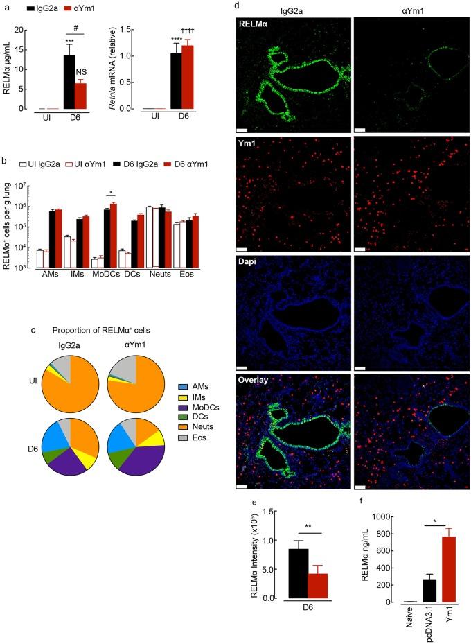 https://cdn.ncbi.nlm.nih.gov/pmc/blobs/a9e1/6291165/d7a7c45cbda3/ppat.1007423.g005.jpg