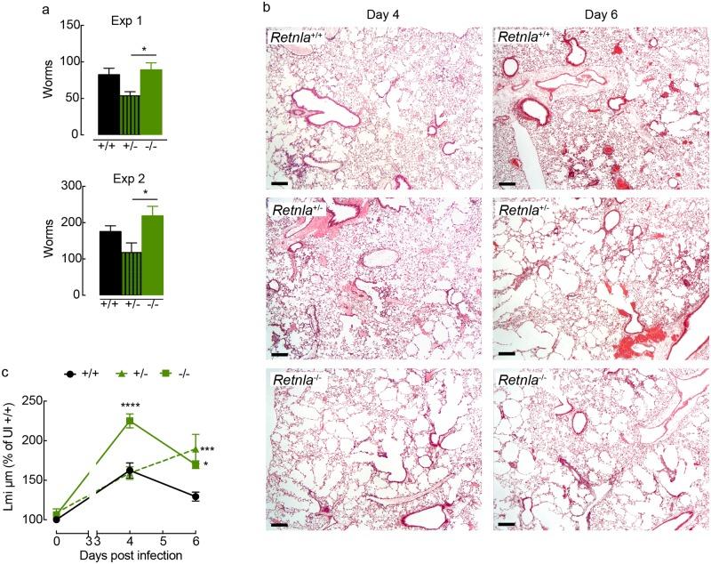 https://cdn.ncbi.nlm.nih.gov/pmc/blobs/a9e1/6291165/fa3960aa26c6/ppat.1007423.g007.jpg