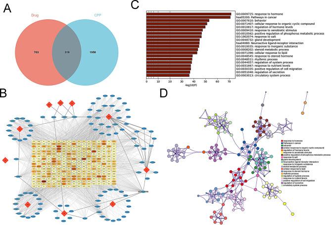 https://cdn.ncbi.nlm.nih.gov/pmc/blobs/a9e2/11980125/2d3ae77b954a/41065_2025_420_Fig2_HTML.jpg