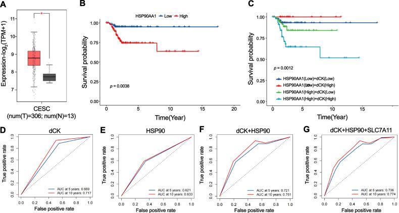 https://cdn.ncbi.nlm.nih.gov/pmc/blobs/a9e3/12015294/a4fbe8890628/41420_2025_2388_Fig7_HTML.jpg