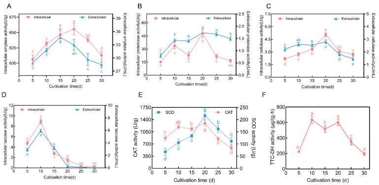 https://cdn.ncbi.nlm.nih.gov/pmc/blobs/a9e6/11433261/ed81504ca997/jof-10-00618-g002.jpg