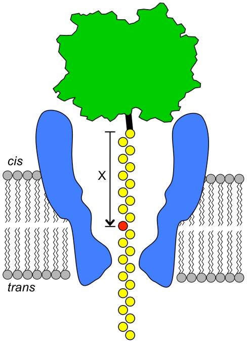 https://cdn.ncbi.nlm.nih.gov/pmc/blobs/a9e6/3186796/53804338132a/pone.0025723.g001.jpg
