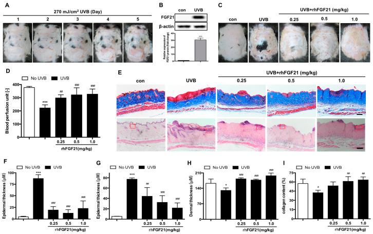 https://cdn.ncbi.nlm.nih.gov/pmc/blobs/a9e7/9603848/8a8776751d60/ijms-23-12466-g001.jpg
