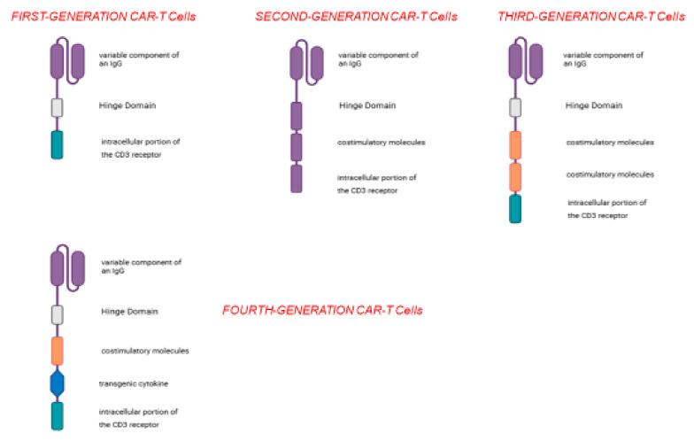 https://cdn.ncbi.nlm.nih.gov/pmc/blobs/a9e9/12248945/85e15c299fea/cancers-17-02215-g002.jpg