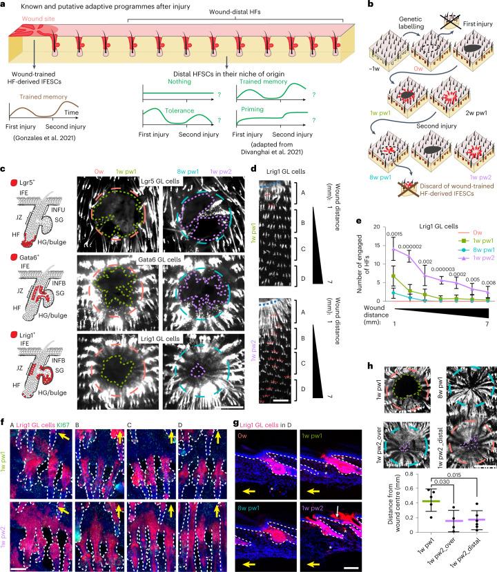 https://cdn.ncbi.nlm.nih.gov/pmc/blobs/a9ea/10185470/01301cb7a396/41556_2023_1120_Fig1_HTML.jpg