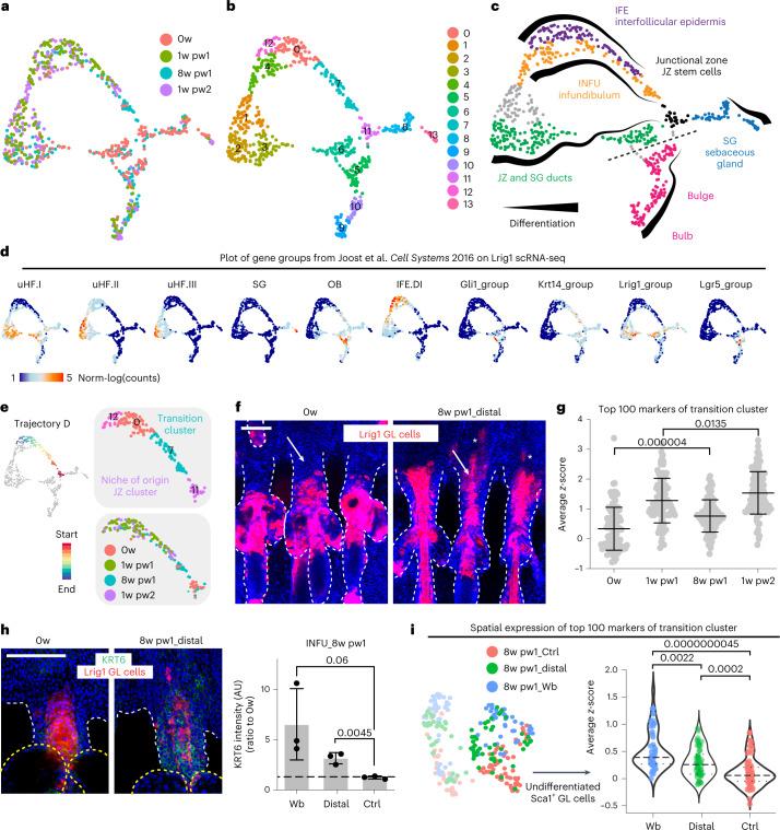 https://cdn.ncbi.nlm.nih.gov/pmc/blobs/a9ea/10185470/32475654ed21/41556_2023_1120_Fig3_HTML.jpg