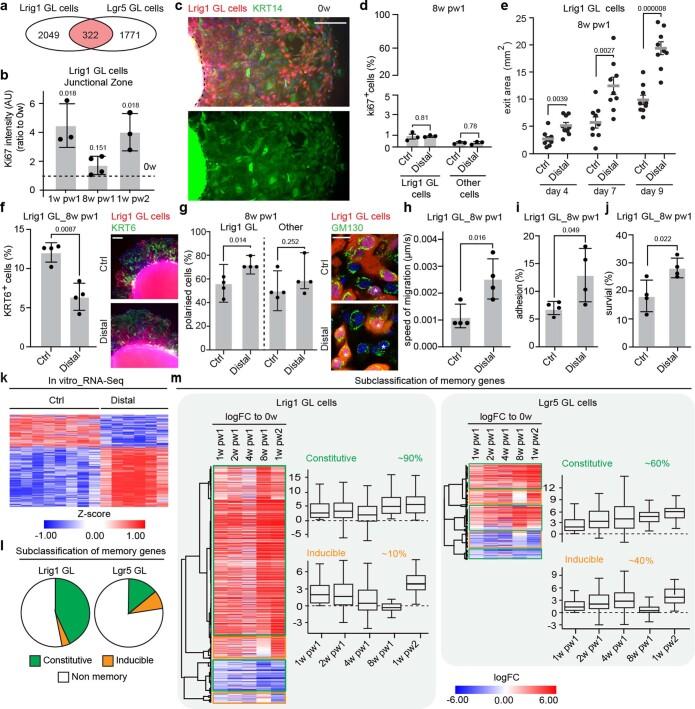 https://cdn.ncbi.nlm.nih.gov/pmc/blobs/a9ea/10185470/39cee38d8266/41556_2023_1120_Fig11_ESM.jpg