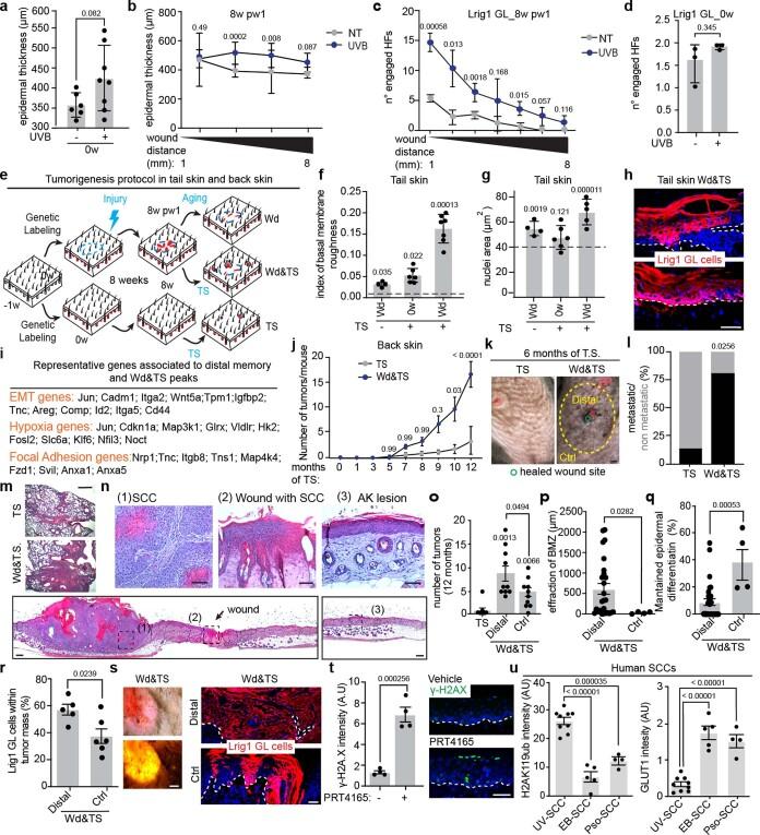 https://cdn.ncbi.nlm.nih.gov/pmc/blobs/a9ea/10185470/47a9ec524312/41556_2023_1120_Fig18_ESM.jpg