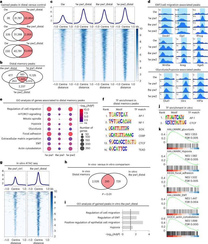 https://cdn.ncbi.nlm.nih.gov/pmc/blobs/a9ea/10185470/4b19daa06a35/41556_2023_1120_Fig5_HTML.jpg