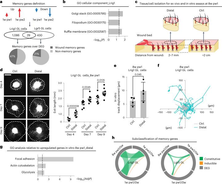 https://cdn.ncbi.nlm.nih.gov/pmc/blobs/a9ea/10185470/4c3adeaf6b31/41556_2023_1120_Fig2_HTML.jpg