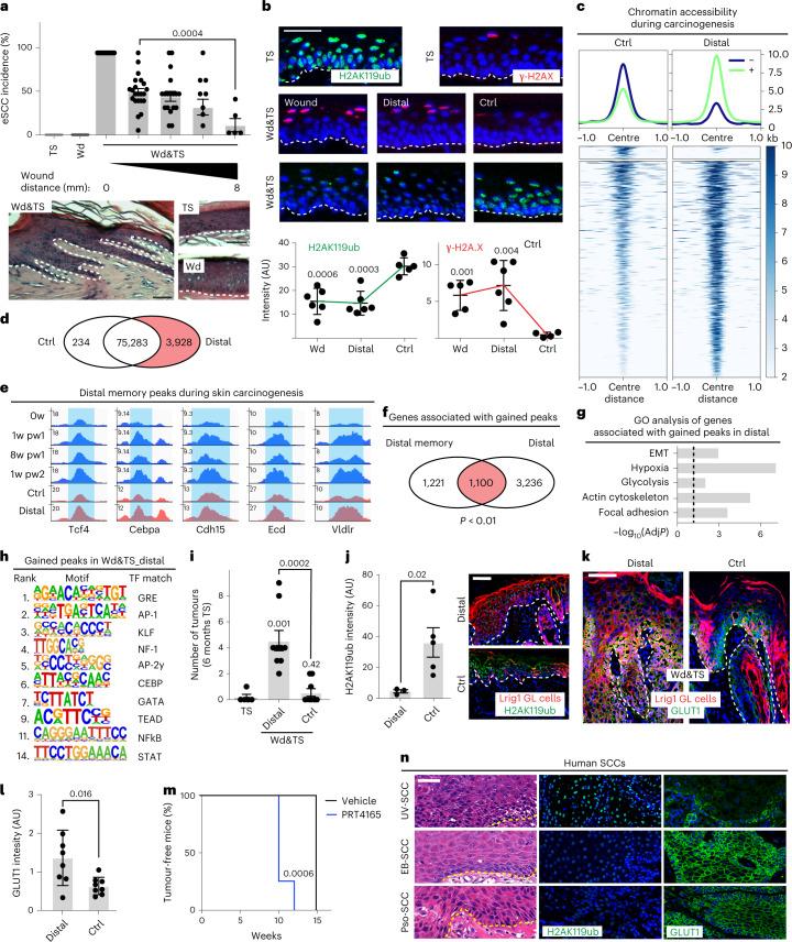 https://cdn.ncbi.nlm.nih.gov/pmc/blobs/a9ea/10185470/4f7f8c42cad3/41556_2023_1120_Fig8_HTML.jpg
