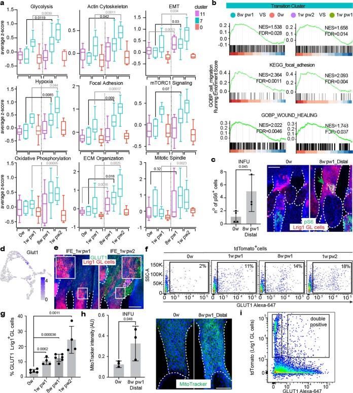https://cdn.ncbi.nlm.nih.gov/pmc/blobs/a9ea/10185470/54f8d6544e6f/41556_2023_1120_Fig14_ESM.jpg