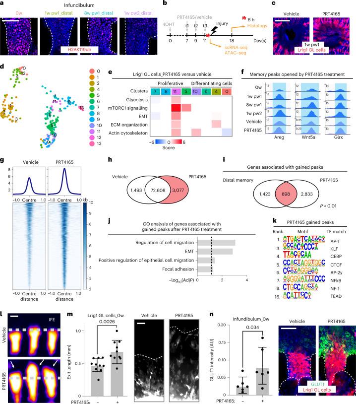 https://cdn.ncbi.nlm.nih.gov/pmc/blobs/a9ea/10185470/7d69894e698e/41556_2023_1120_Fig7_HTML.jpg