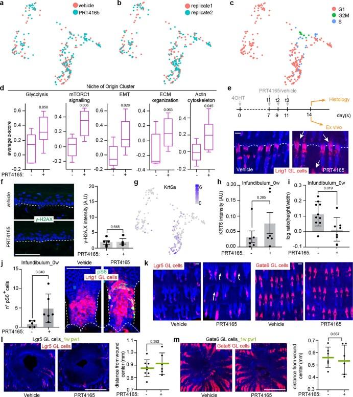 https://cdn.ncbi.nlm.nih.gov/pmc/blobs/a9ea/10185470/8ad4a350fffe/41556_2023_1120_Fig17_ESM.jpg