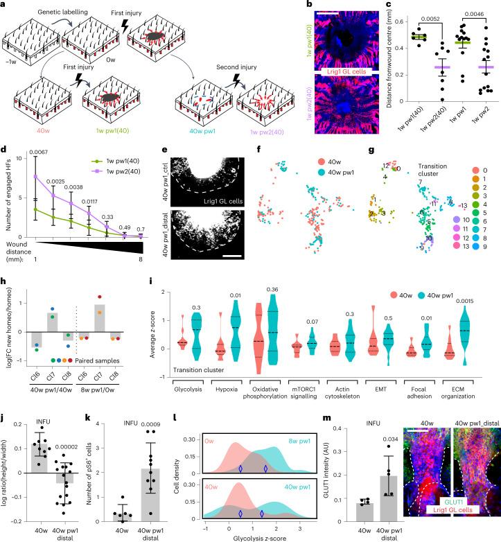https://cdn.ncbi.nlm.nih.gov/pmc/blobs/a9ea/10185470/e1fc4c61db3f/41556_2023_1120_Fig6_HTML.jpg
