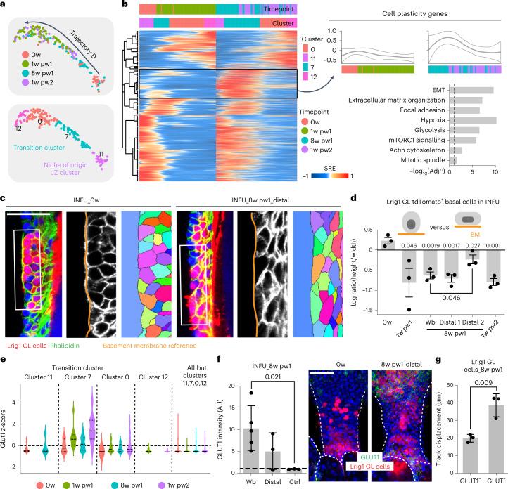 https://cdn.ncbi.nlm.nih.gov/pmc/blobs/a9ea/10185470/ee8eade79977/41556_2023_1120_Fig4_HTML.jpg