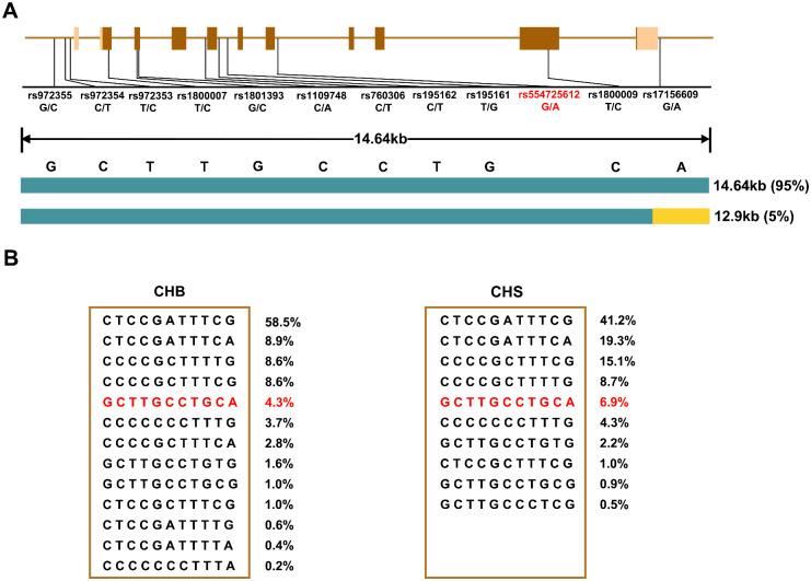 https://cdn.ncbi.nlm.nih.gov/pmc/blobs/a9eb/10528473/74ae1fb2e541/iovs-64-12-37-f003.jpg