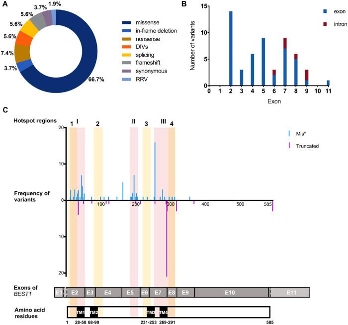 https://cdn.ncbi.nlm.nih.gov/pmc/blobs/a9eb/10528473/aaa0cc18a615/iovs-64-12-37-f002.jpg