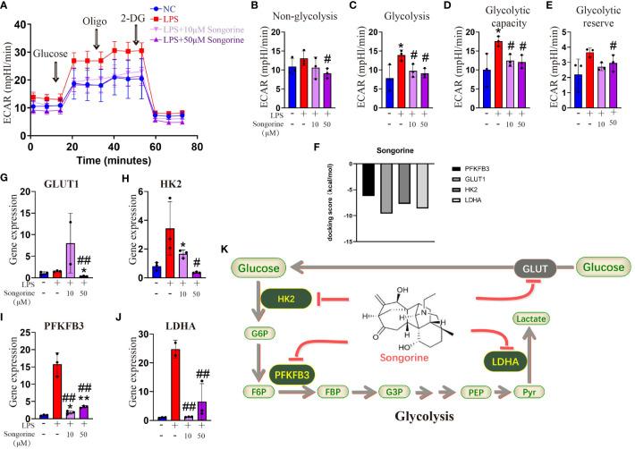 https://cdn.ncbi.nlm.nih.gov/pmc/blobs/a9ec/10896988/ed7de576ff86/fimmu-15-1344949-g003.jpg