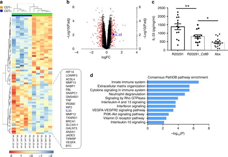 https://cdn.ncbi.nlm.nih.gov/pmc/blobs/a9ec/6586630/0f8802a75deb/41467_2019_10733_Fig1_HTML.jpg