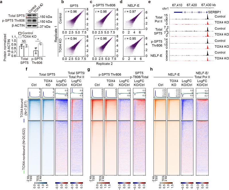https://cdn.ncbi.nlm.nih.gov/pmc/blobs/a9ee/8975821/1d49c76561cd/42003_2022_3214_Fig5_HTML.jpg